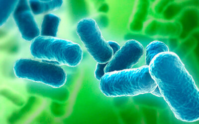 Evaluación del riesgo de contaminación biológica: control y calidad Microclean